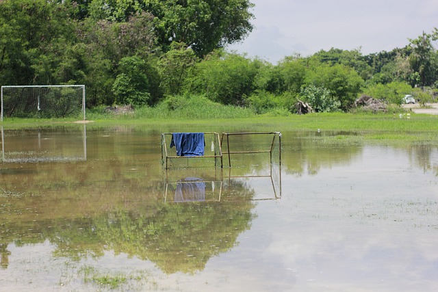 营养管理 营养管理