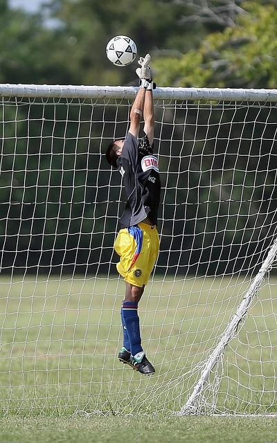 传统优势的 传统优势的