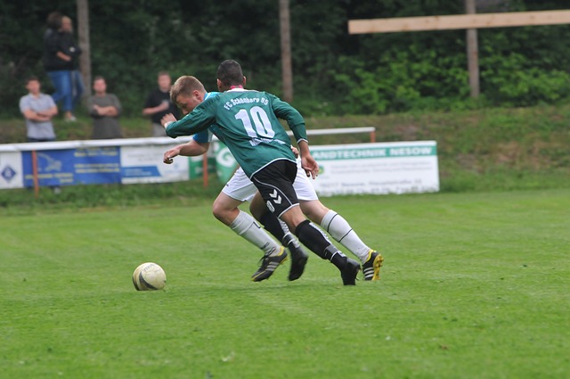 成為了國內 成為了國內