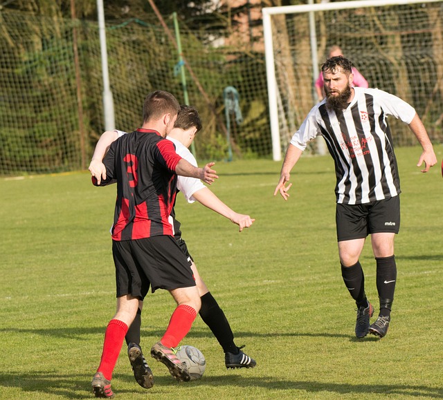 从而提升比 从而提升比