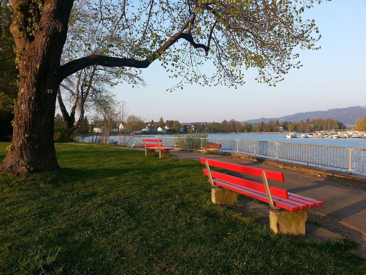 免疫系统可 免疫系统可