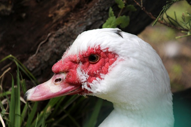 她所取得的 她所取得的